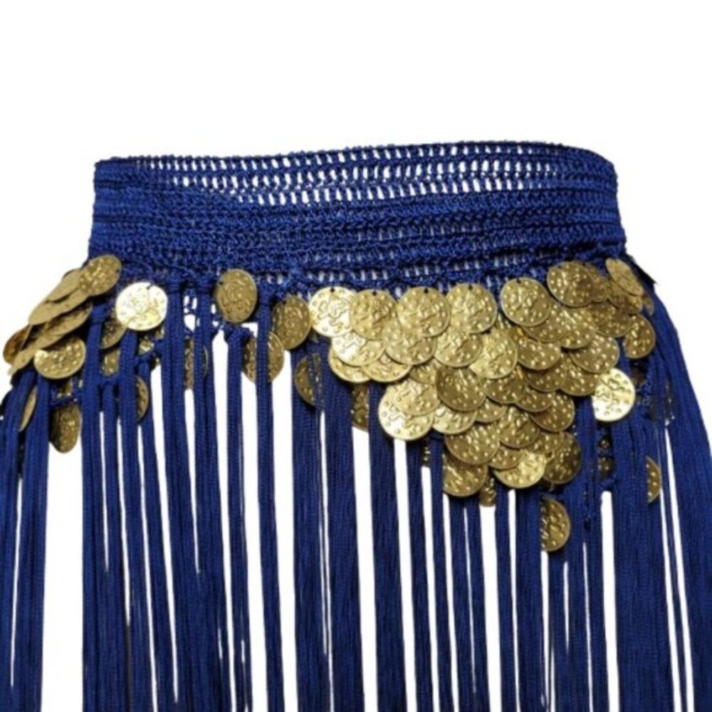 Hip Skirt Belly Dance Tassels Fringe Skirt Bellydance Coins and Fringe Hip Scarf - Picture 2 of 14